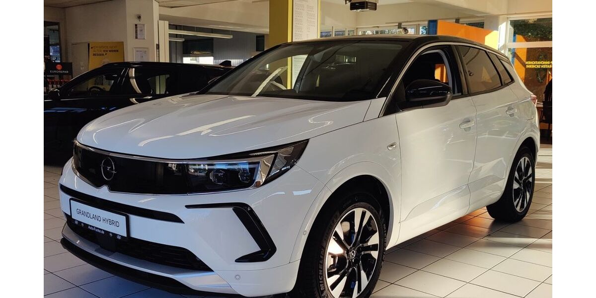 Opel Grandland (X) 5.000 km 44.900 &euro; Ahlen 59229