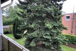 Etagenwohnung Hamm Herringen - 2 Zimmer, 51 m&sup2;, 640&euro; | Angebot:26620031