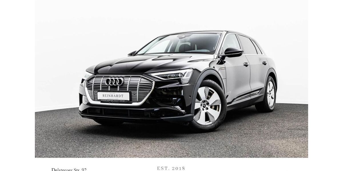 Audi e-tron 54.252 km 26.131 &euro; Hagen 58091