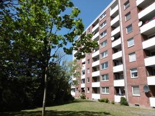 Wohnung Hamm Daberg - 1 Zimmer, 35 m&sup2;, 289&euro; | Angebot:26627555