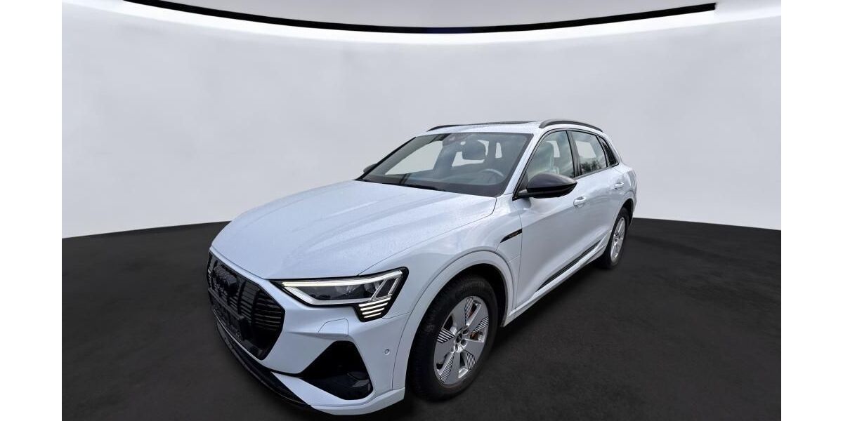 Audi e-tron 69.998 km 36.785 &euro; Hagen 58091