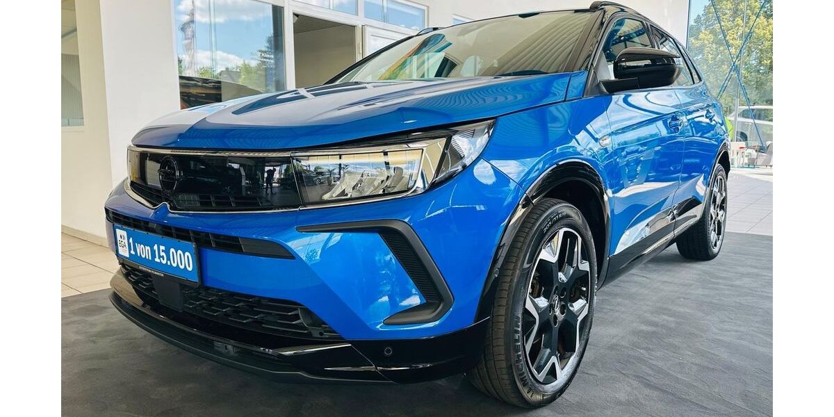 Opel Grandland (X) 22.980 km 24.490 &euro; Wetter 58300