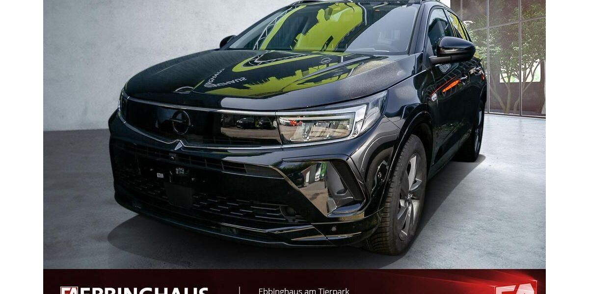 Opel Grandland (X) 29.771 km 26.950 &euro; Dortmund 44225