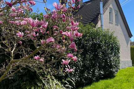 Haus Herdecke - 6 Zimmer, 230 m&sup2;, 549.000&euro; | Angebot:26087574