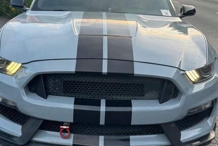 Ford Mustang 125.000 km 29.500 &euro; Dortmund 44339