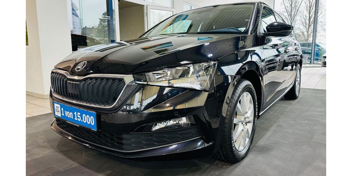 Skoda Scala 32.555 km 19.830 &euro; Wetter 58300