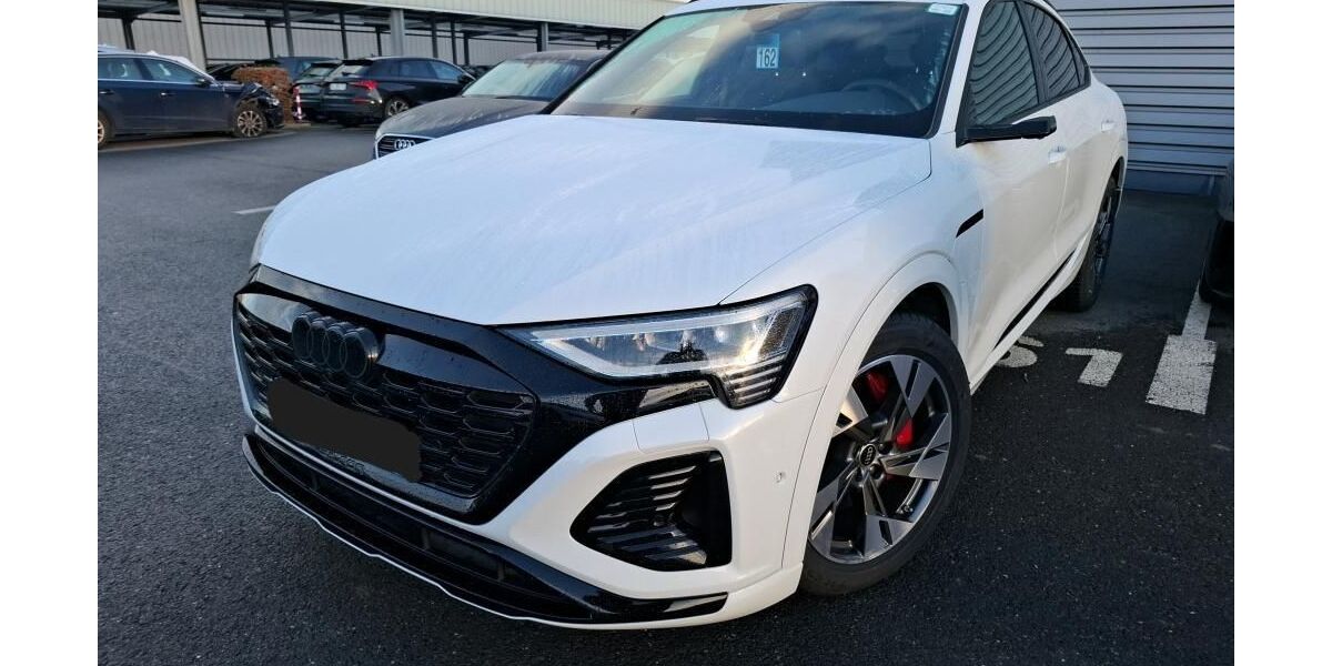 Audi Q8 e-tron 55.309 km 49.910 &euro; Hagen 58091