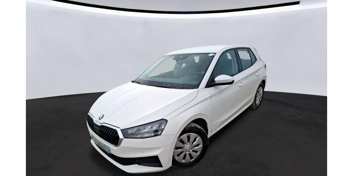Skoda Fabia 36.403 km 11.480 &euro; Hagen 58091