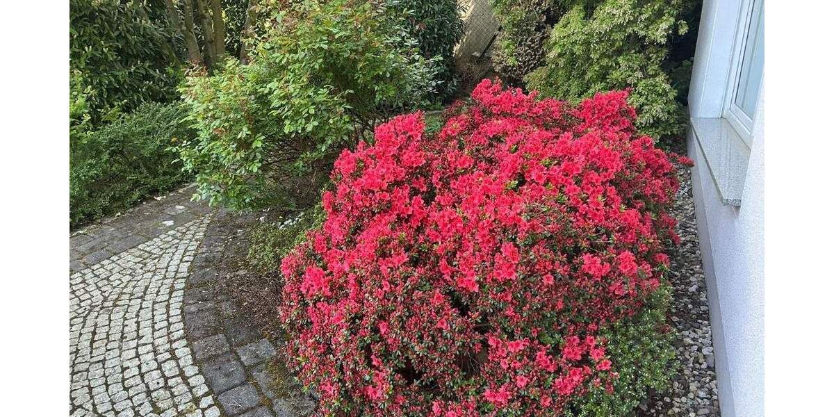 Einfamilienhaus Dortmund Lücklemberg - 9 Zimmer, 308 m&sup2;, 1.175.000&euro; | Angebot:25929322