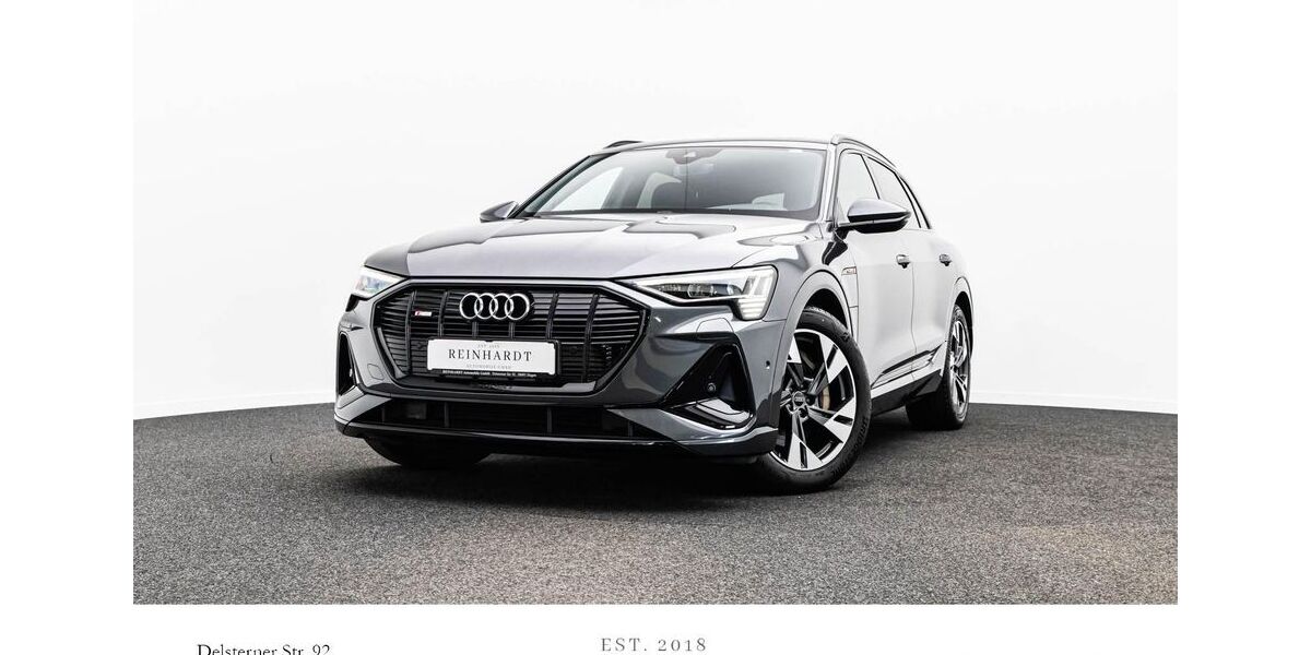 Audi e-tron 125.106 km 34.482 &euro; Hagen 58091
