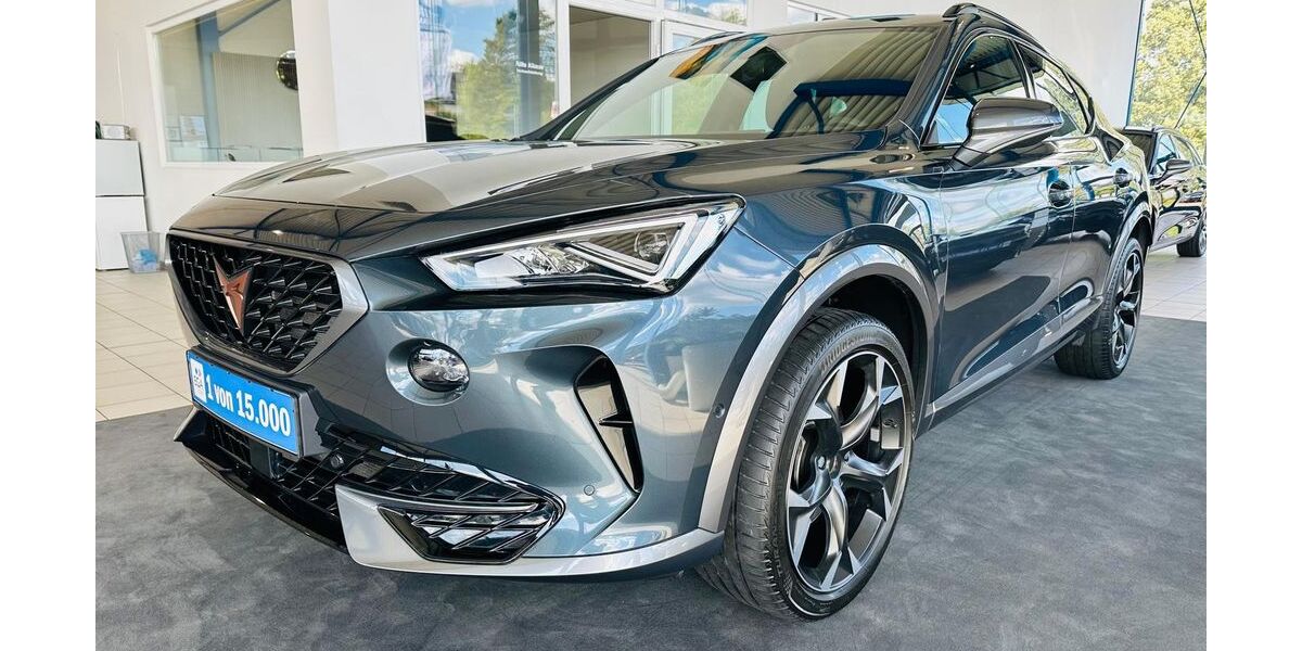 Cupra Formentor 31.380 km 27.890 &euro; Wetter 58300