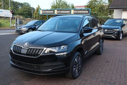 Skoda Karoq 46.000 km 19.990 &euro; Hagen 58135