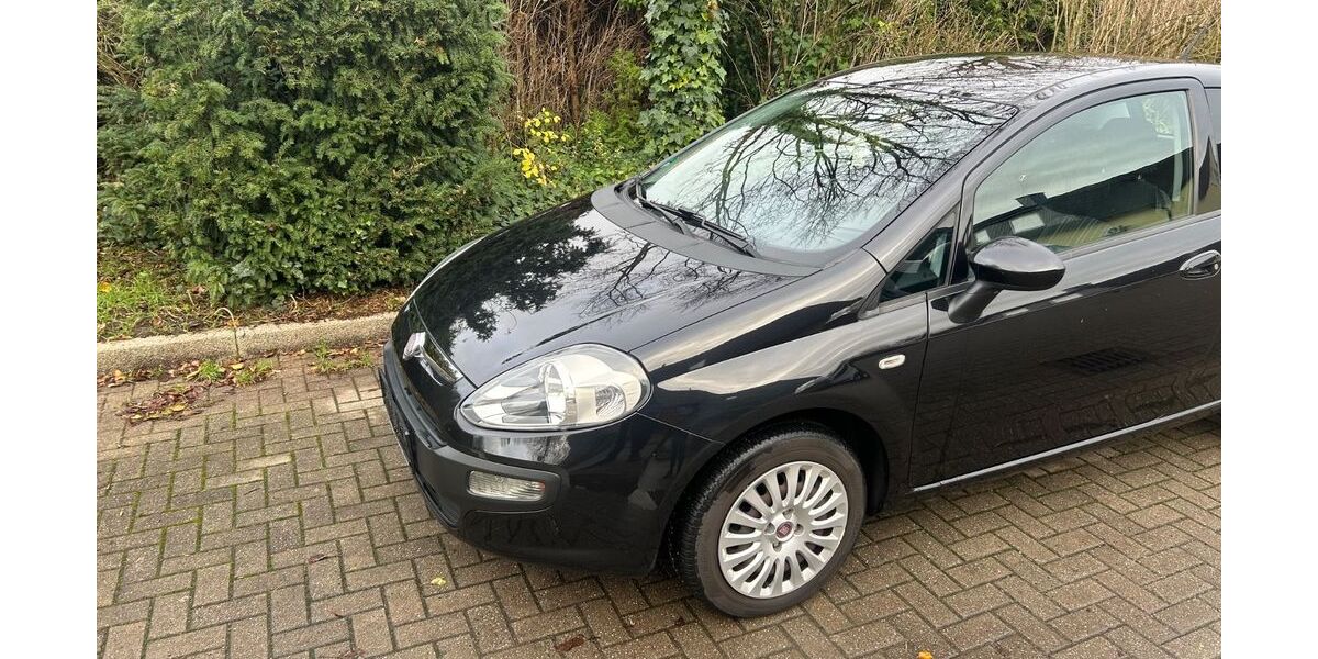 Fiat Punto Evo 80.871 km 3.850 &euro; Kamen 59174