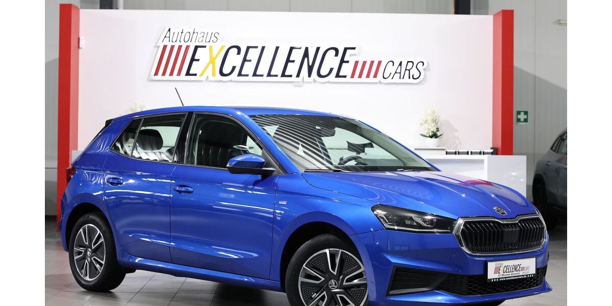 Skoda Fabia 55.000 km 13.221 &euro; Hamm 59077