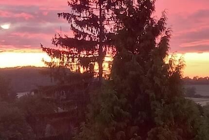 Wohnung Witten Heven - 2.5 Zimmer, 56 m&sup2;, 594&euro; | Angebot:24849020