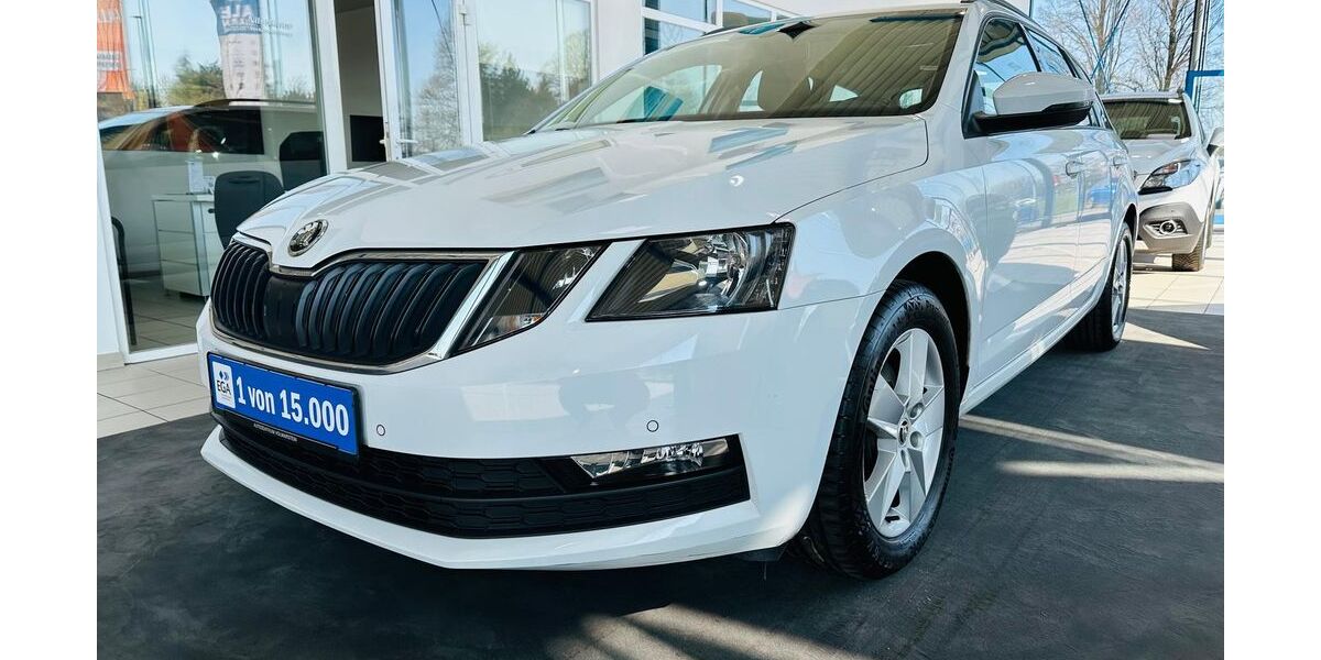 Skoda Octavia 111.225 km 14.890 &euro; Wetter 58300