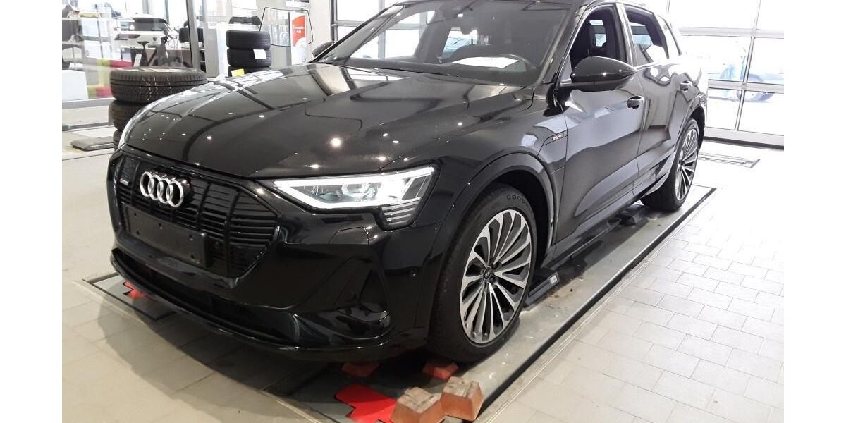 Audi e-tron 72.919 km 37.860 &euro; Hagen 58091
