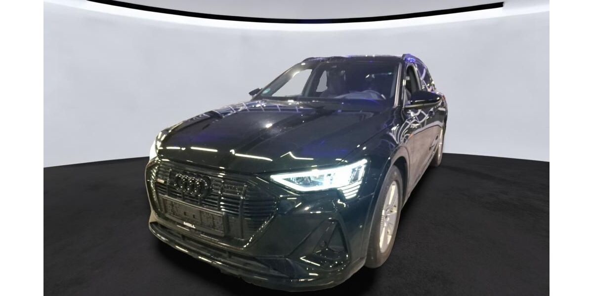 Audi e-tron 69.749 km 33.439 &euro; Hagen 58091