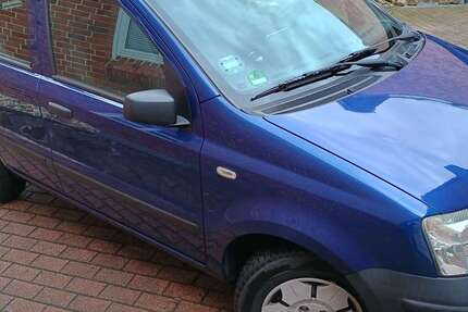 Fiat Panda 81.000 km 2.200 &euro; Werne, Stadt 59368