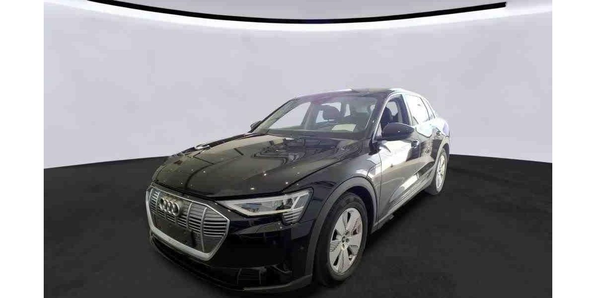 Audi e-tron 33.802 km 31.448 &euro; Hagen 58091
