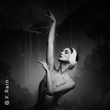Grand Classic Ballet - Schwanensee - Jenseits der Bühne mit live Streichquartett 30.10.2026 Stadthalle Werl