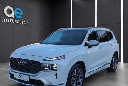 Hyundai SANTA FE 86.500 km 38.950 &euro; Hamm 59077