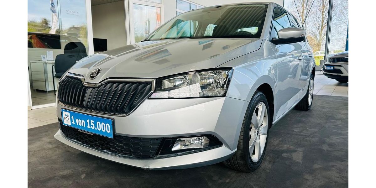 Skoda Fabia 51.250 km 13.360 &euro; Wetter 58300
