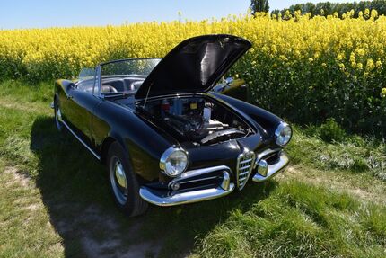 Alfa Romeo Spider 123.456 km 55.900 &euro; Kamen 59174