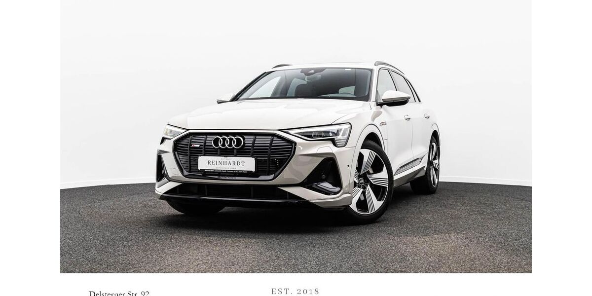 Audi e-tron 45.953 km 34.358 &euro; Hagen 58091