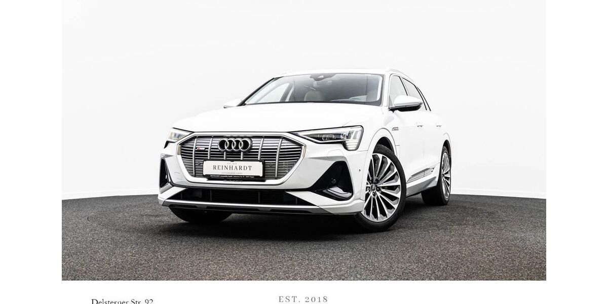 Audi e-tron 69.917 km 31.770 &euro; Hagen 58091