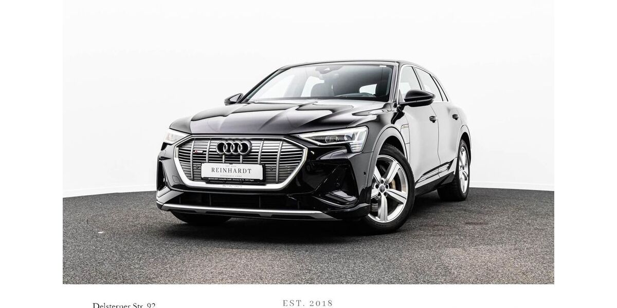 Audi e-tron 87.446 km 33.336 &euro; Hagen 58091