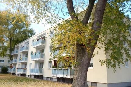 Wohnung Dortmund Aplerbeck - 2 Zimmer, 59 m&sup2;, 615&euro; | Angebot:24517559