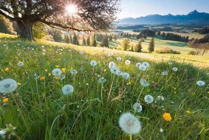 Wohnung Wickede (Ruhr) - 3 Zimmer, 65 m&sup2;, 850&euro; | Angebot:9237824