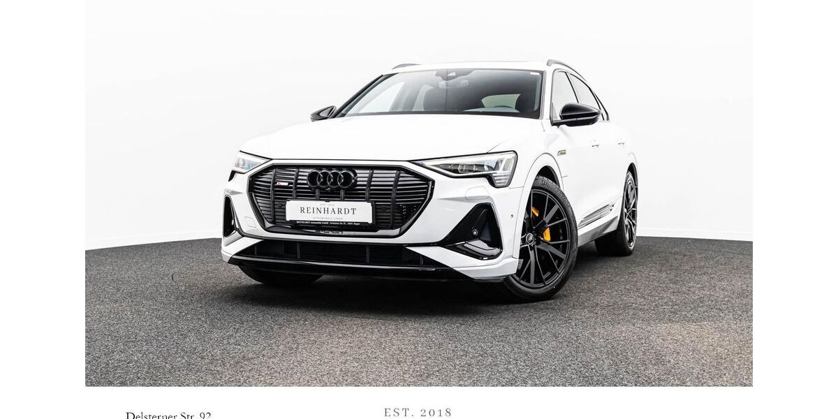 Audi e-tron 42.228 km 37.138 &euro; Hagen 58091