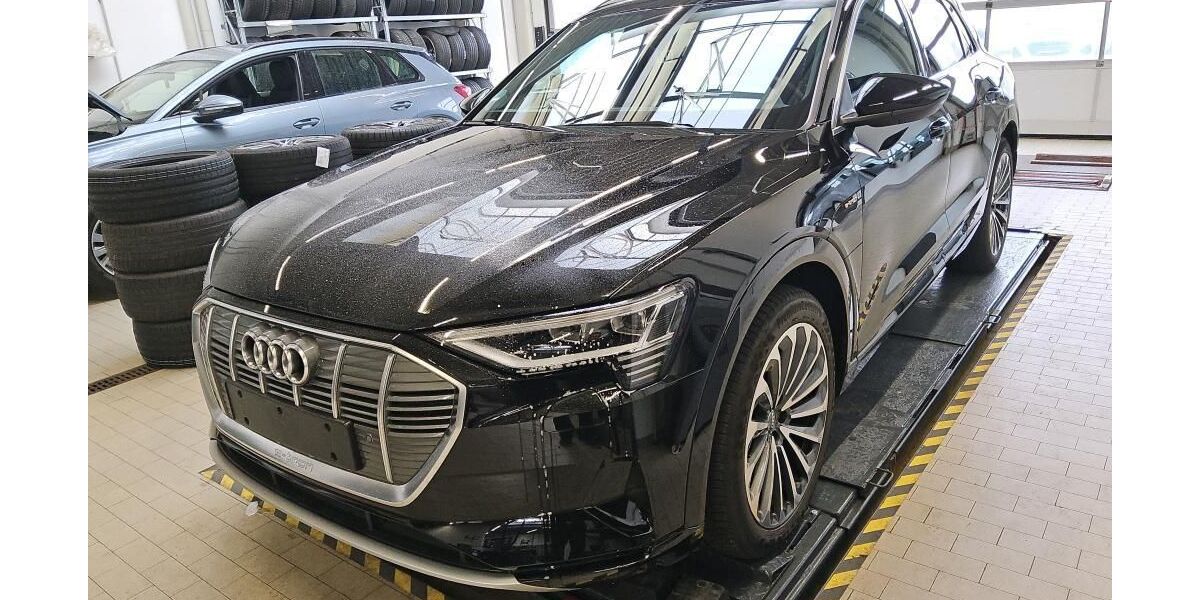 Audi e-tron 33.536 km 32.749 &euro; Hagen 58091