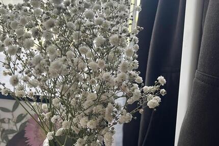 Wohnung Dortmund Hombruch - 1 Zimmer, 23 m&sup2;, 350&euro; | Angebot:25900211