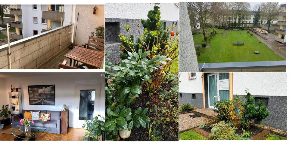 Etagenwohnung Arnsberg Holzen - 2 Zimmer, 64 m&sup2;, 560&euro; | Angebot:25642611