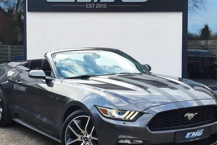 Ford Mustang 80.000 km 23.490 &euro; Unna 59425