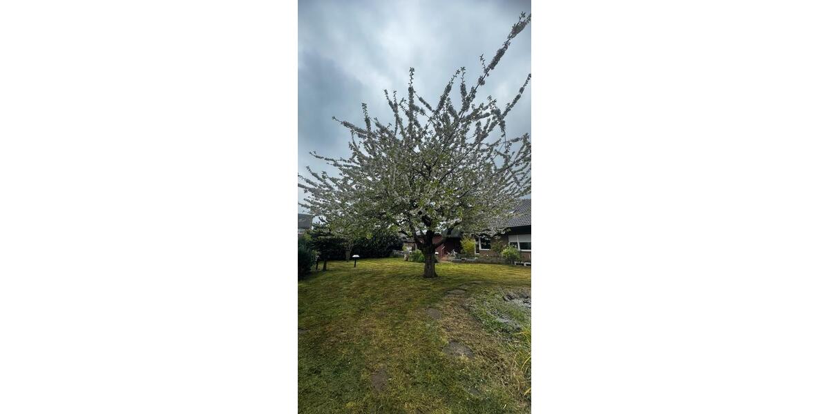 Einfamilienhaus Ascheberg - 8 Zimmer, 175 m&sup2;, 350.000&euro; | Angebot:24639805