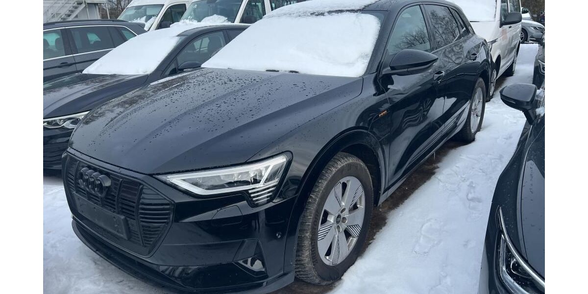 Audi e-tron 61.926 km 35.885 &euro; Hagen 58091