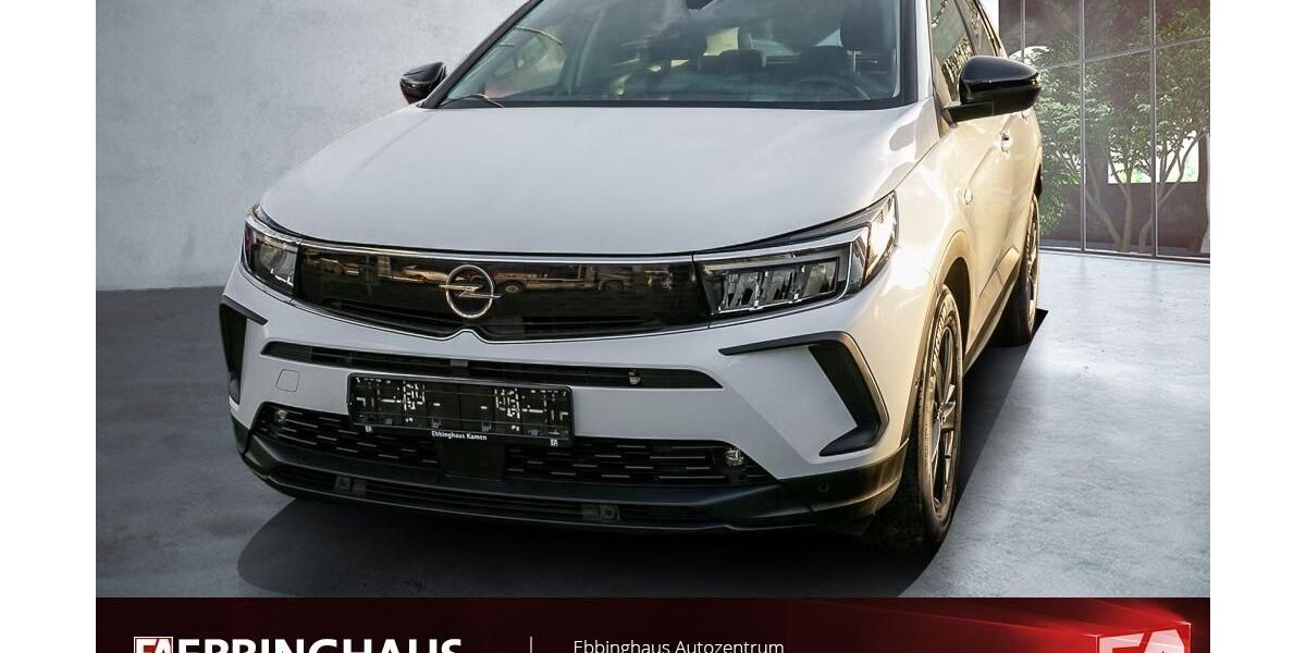 Opel Grandland (X) 51.397 km 19.499 &euro; Dortmund 44149