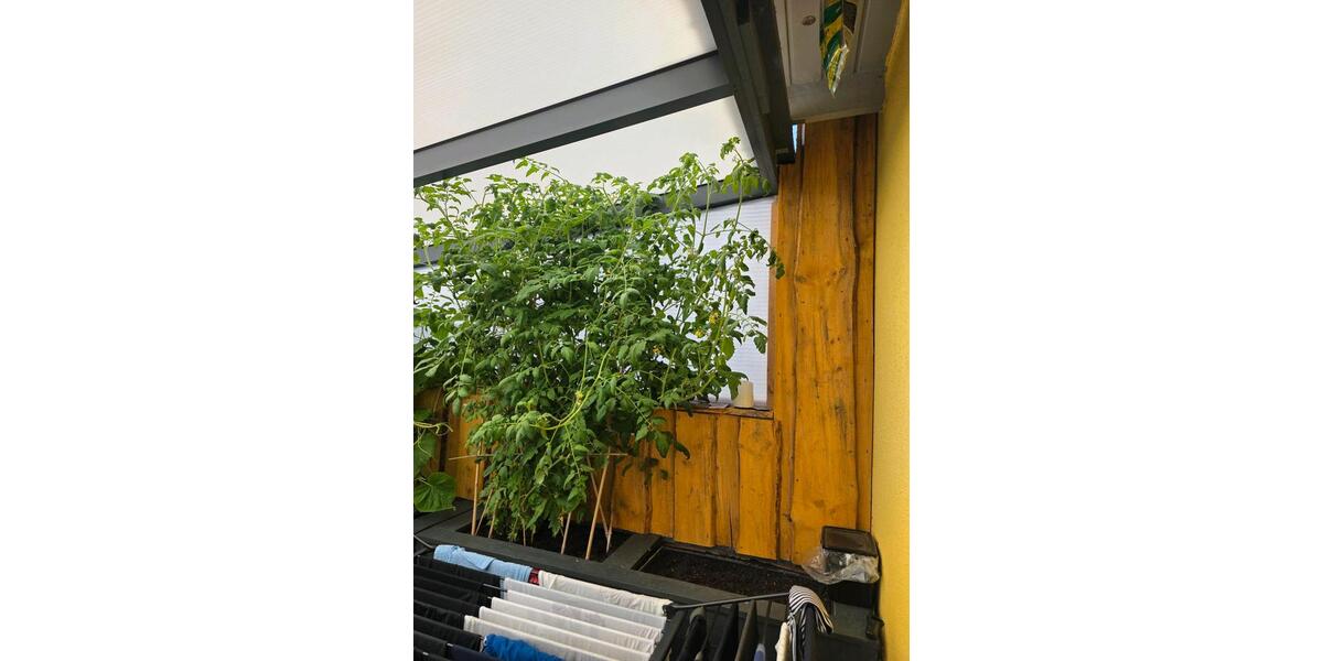 Reihenhaus Kamen - 3 Zimmer, 90 m&sup2;, 265.000&euro; | Angebot:27076574