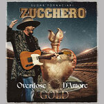VIP Package BACKSTAGE CLUB - Zucchero