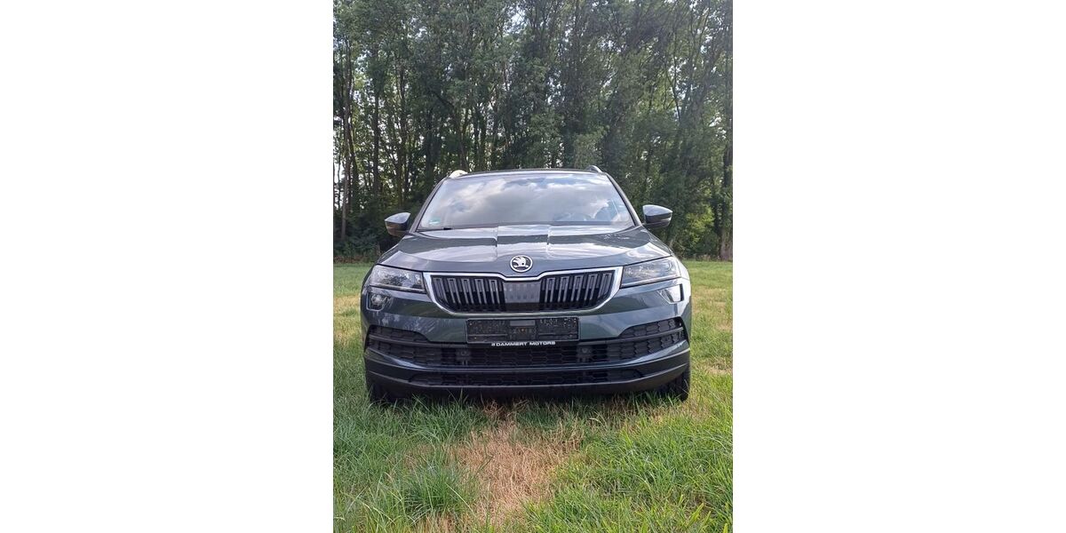 Skoda Karoq 99.513 km 18.699 &euro; Hamm 59069