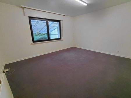 Mehrfamilienhaus, Wohnhaus Hemer Ihmert - 1 Zimmer, 257 m&sup2;, 269.500&euro; | Angebot:25837310