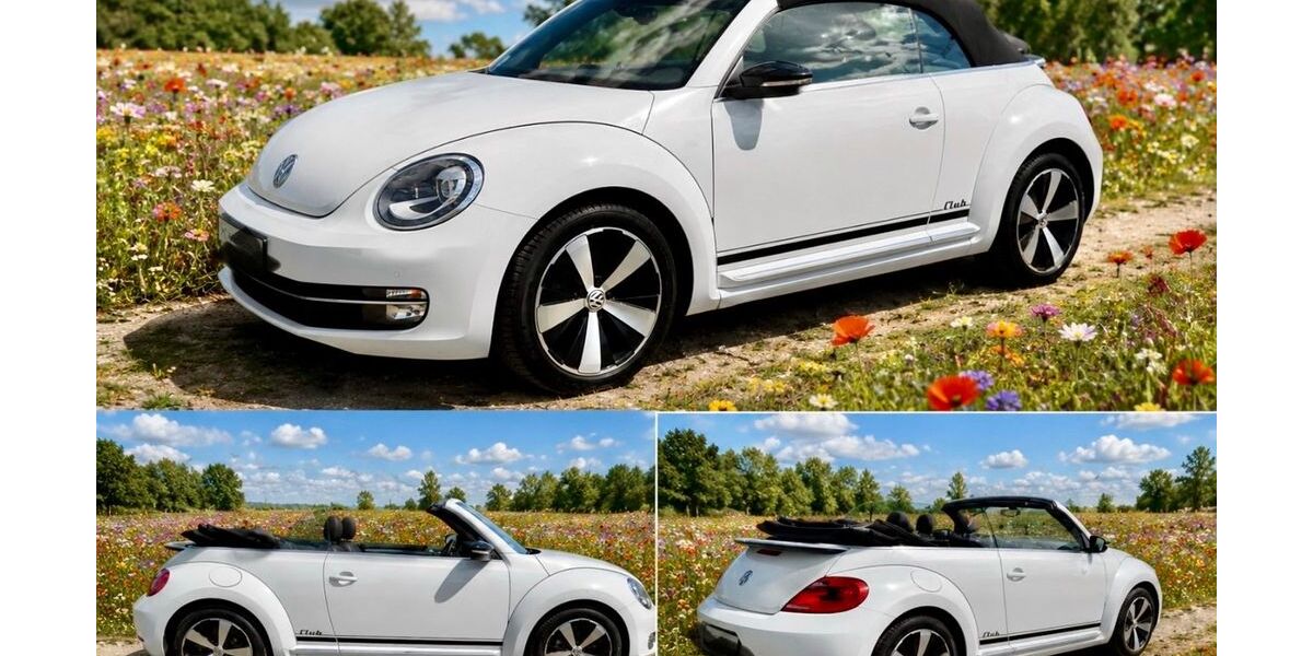VW Beetle 48.000 km 18.500 &euro; Kamen 59174
