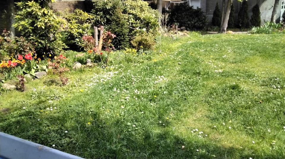 Gewerbeobjekt Oer-Erkenschwick Erkenschwick - 1.500&euro; | Angebot:25648074