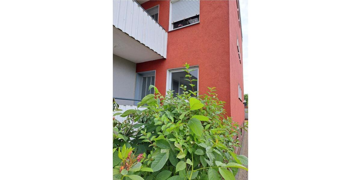 Hochparterre Ahlen Dolberg - 3.5 Zimmer, 94 m&sup2;, 1.000&euro; | Angebot:25658359