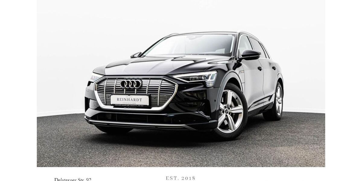 Audi e-tron 40.375 km 31.109 &euro; Hagen 58091