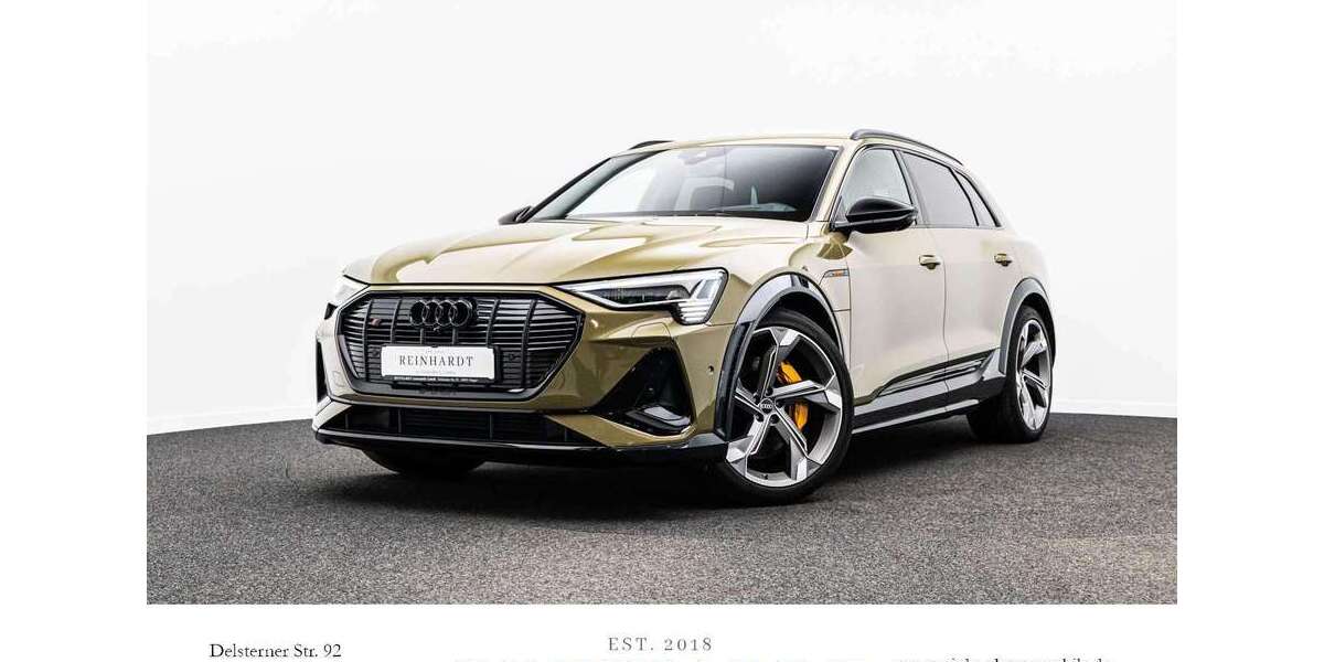 Audi e-tron 42.209 km 47.859 &euro; Hagen 58091